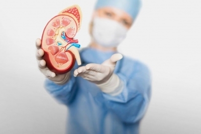 Nefrološki pregled sa ultrazvukom bubrega i bešike, Popust